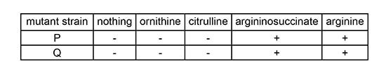 MCAT Biology Growth response of mutant strains